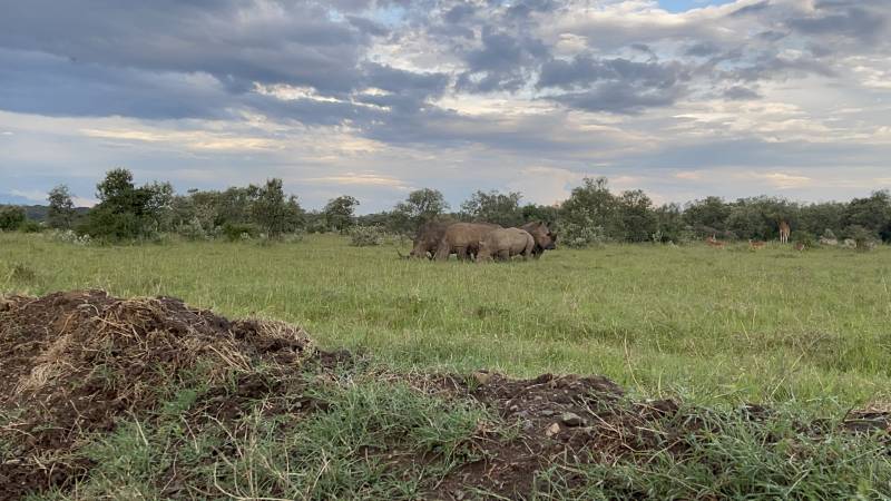 4 Nights Explore Kenya Safari