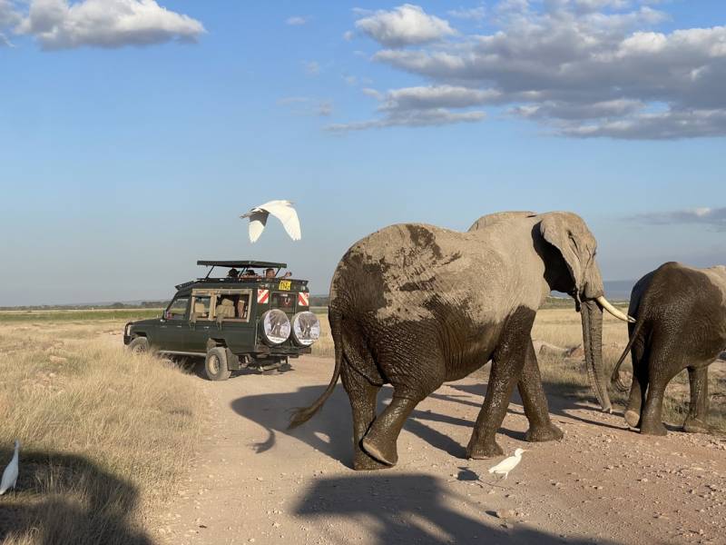 4 Nights Explore Kenya Safari