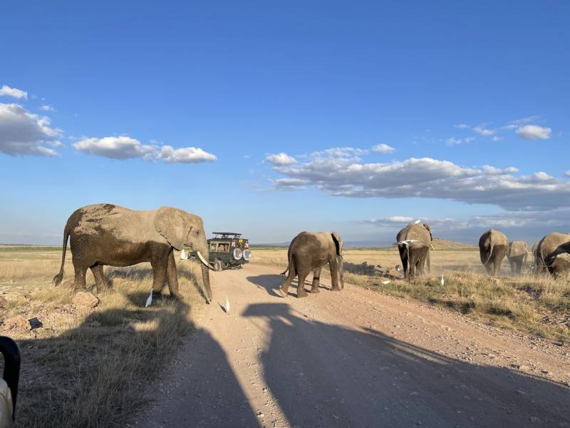 4 Nights Explore Kenya Safari