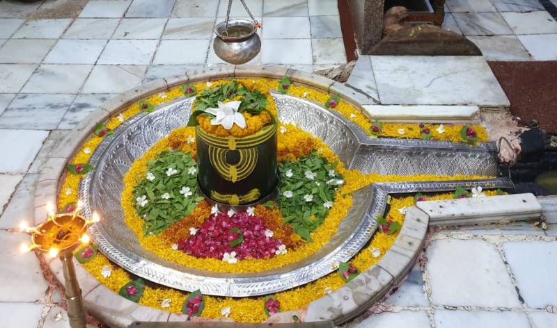 Panch Jyotirlinga Darshan with Shirdi and Shani Shingnapur Package