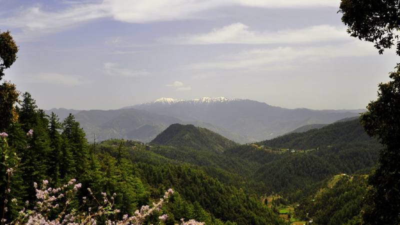 3 Night Shimla - Kufri - Chail Tour Package From Amritsar