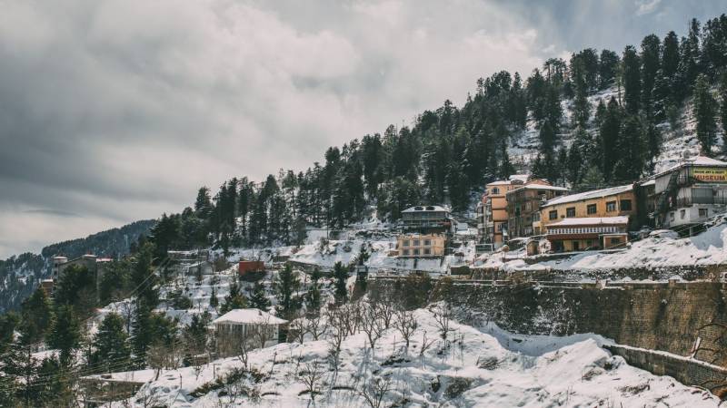 5 Days Kasauli - Shimla - Kufri Tour