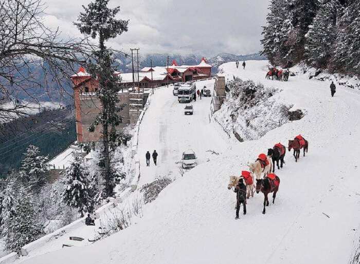 4 Nights Shimla - Kufri - Kasauli Tour From Chandigarh