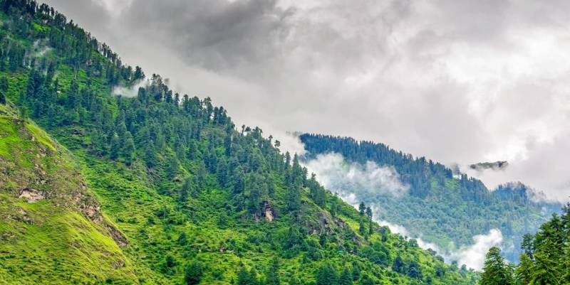 6 Days Shimla - Kufri - Manali - Chail Tour