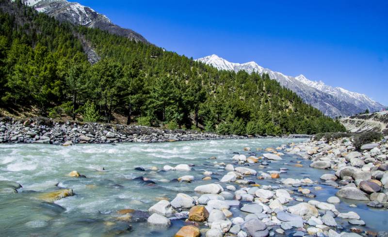 8 Days Shimla - Manali - Kullu - Kasol - Chandigarh Tour