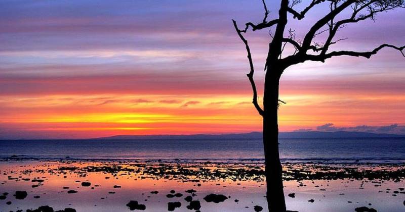 3 Night Port Blair - Chidyatapu Beach - Baratang Island Tour