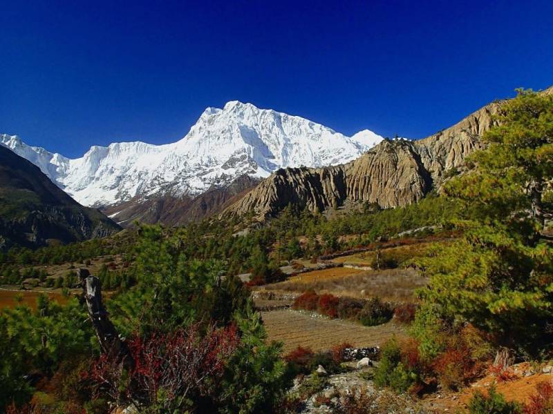 6 Nights - 7 Days Kathmandu - Pokhara - Jomsom Tour Package