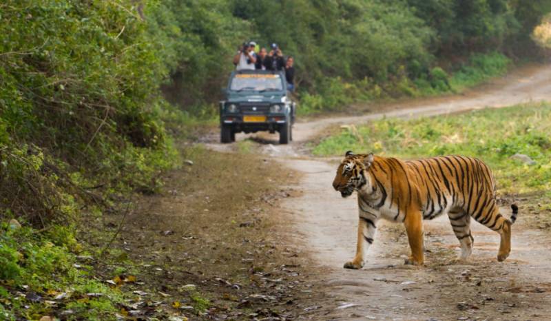 7 Night Mussoorie - Rishikesh - Corbett - Nainital Tour