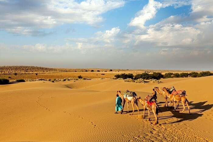 7 Night Jaipur - Bikaner - Jaisalmer - Jodhpur - Udaipur Tour