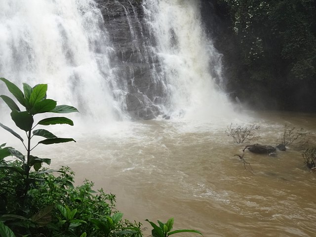 4 Nights Coorg - Ooty Tour Package Image