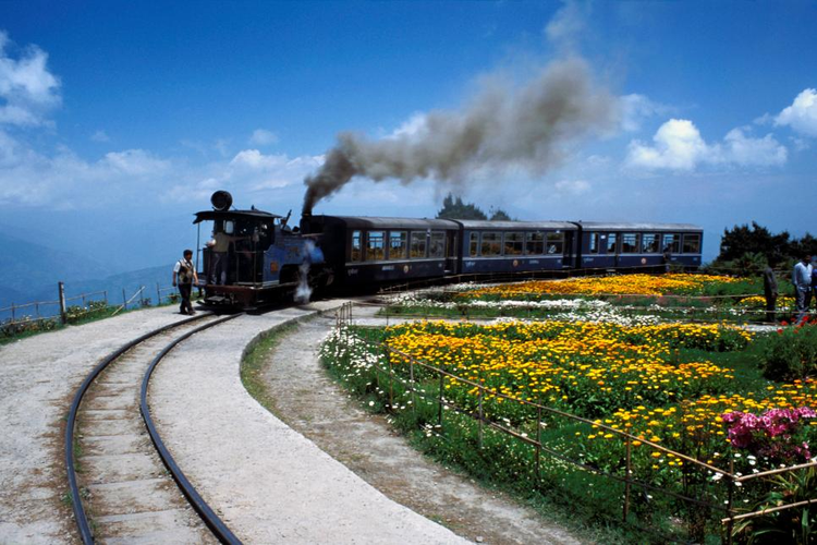 The Land Of Rhododendron Sikkim 5 Nights - 6 Days Tour Image