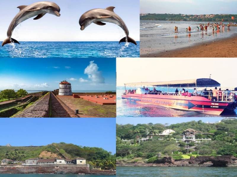 One Day Goa - Dolphin Trip
