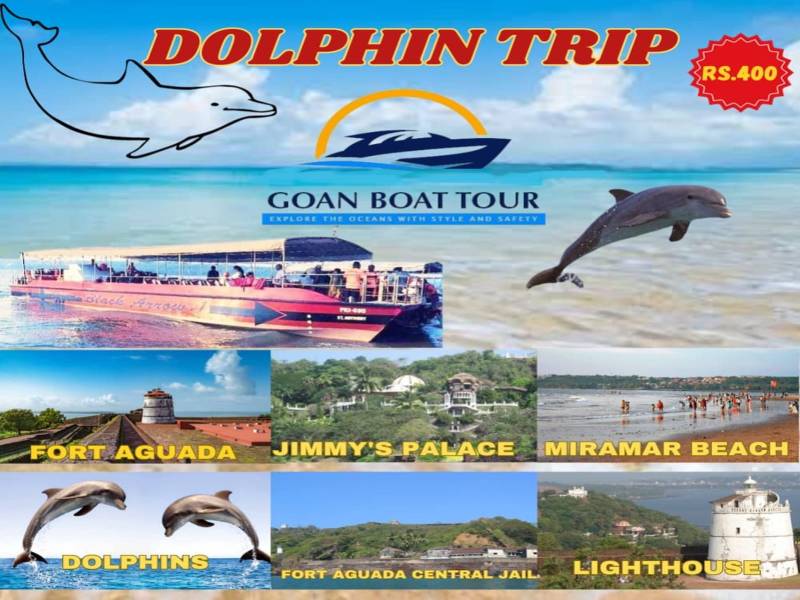 One Day Goa - Dolphin Trip (239362),Holiday Packages to Goa City