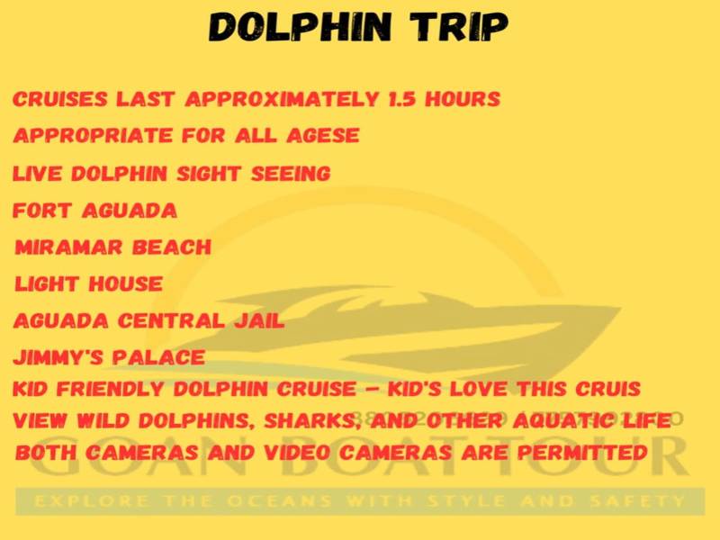 One Day Goa - Dolphin Trip