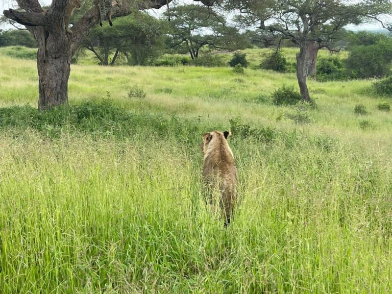 3-Day Luxury Essence of Tanzania