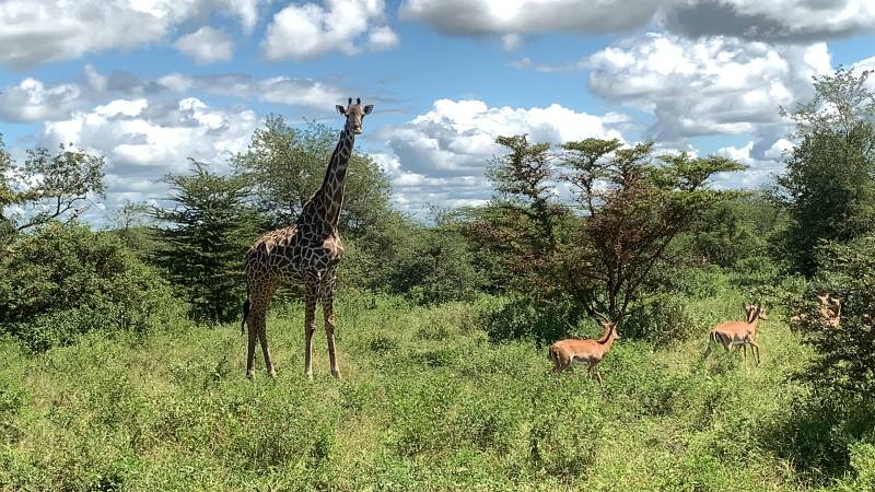 2 DAYS TARANGIRE AND LAKE MANYARA