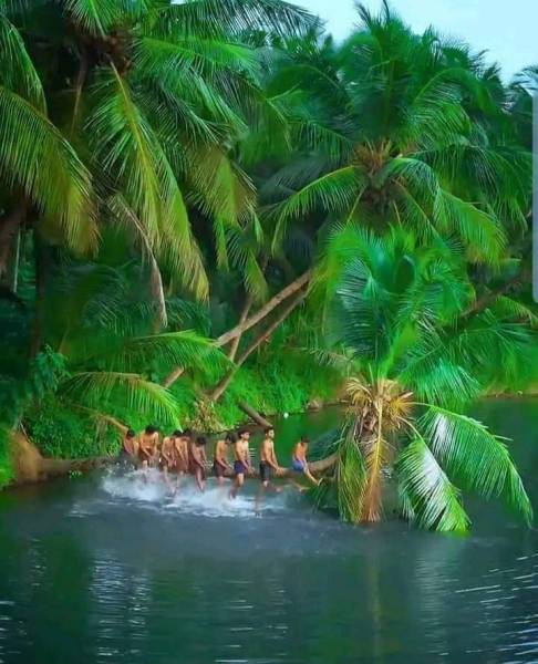 3 N/4 D Coimbatore To Munnar Thekady Package