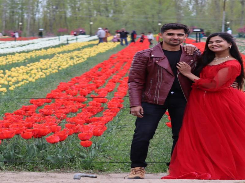Kashmir Tulip Garden Best Time Tio Visit