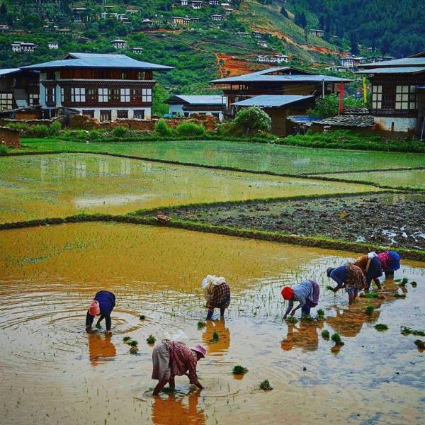 7 Night - 8 Days Enriching Bhutan Tour