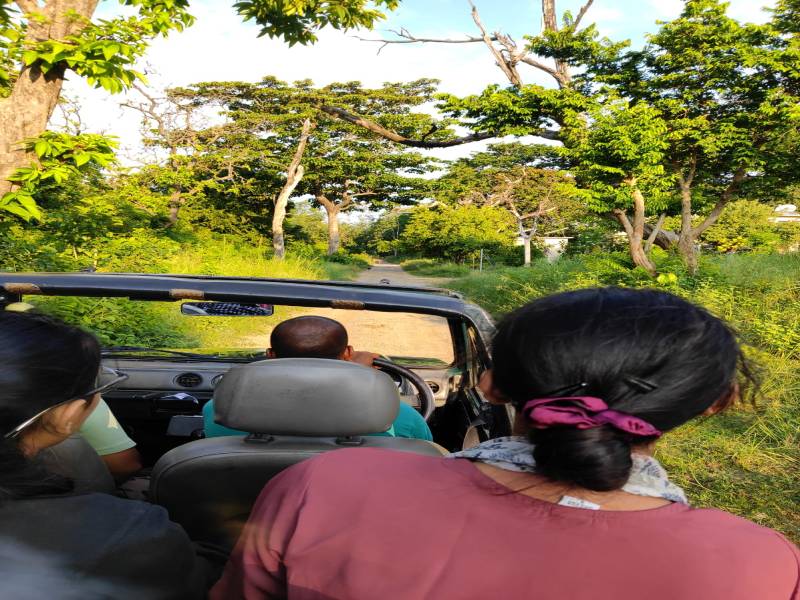 Jim Corbett National Park