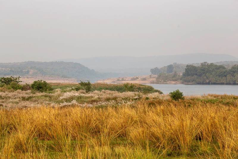 3 Night 4 Days Jim Corbett National Park