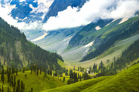 Kashmir Super Deluxe 7 Nights & 8 Days