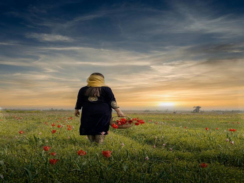 Srinagar & Pahalgam | The Sightseeing