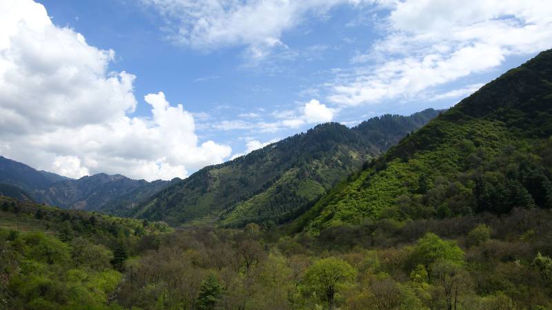 Famous of Srinagar | With Dachigam Walk