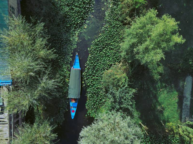 Famous of Srinagar | With Dachigam Walk