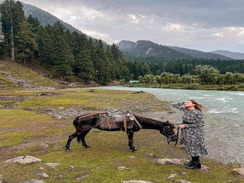 Classic Kashmir | A Must Places To Visit Kashmir & Kargil Blend