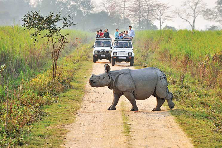 Kaziranga Tour Package 2 Night - 3 Days