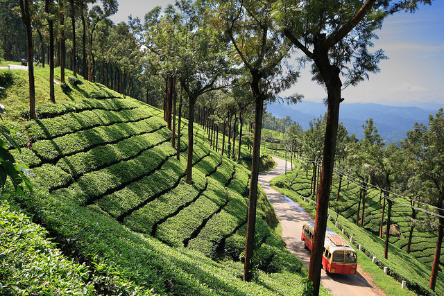 4 Night Munnar - Thekkady - Madurai Tour