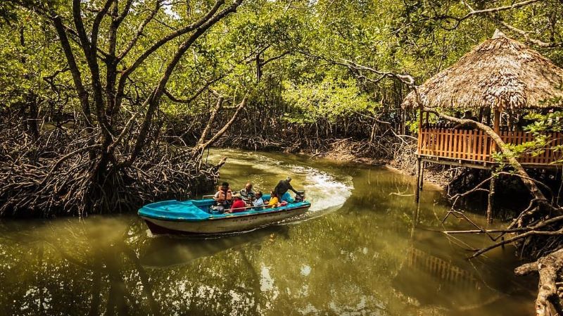 6N Port Blair - Havelock - Neil Island Tour With Baratang Island