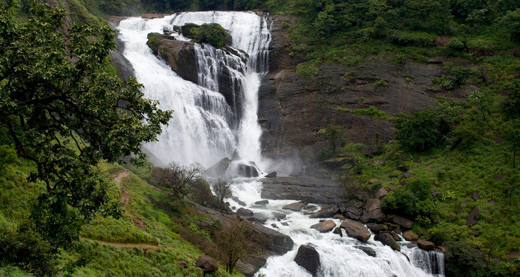 7 Days Bangalore - Mysore - Coorg - Ooty Tour Package