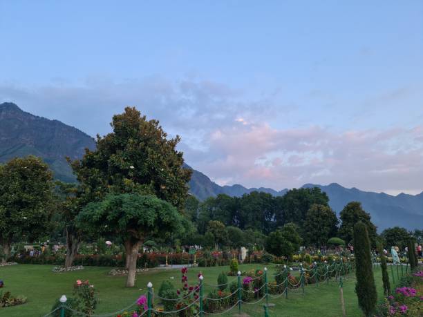 Lowest Budget Package for Kashmir Tour Package