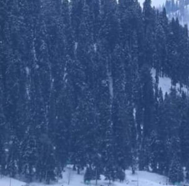 Lowest Budget Package for Kashmir Tour Package