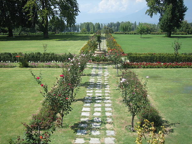 5 night 6 days Kashmir Tour