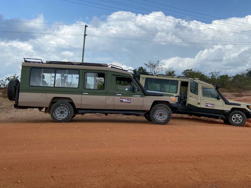 2 Nights 3 Days Private  Flying Safari from Zanzibar to Nyerere National Park