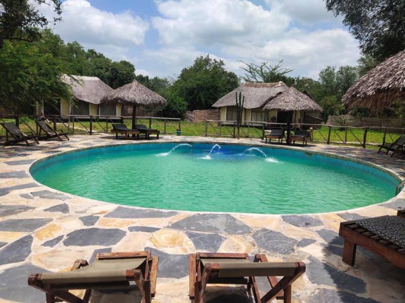 3 Nights 4 Days Fly from Zanzibar to Selous National Park