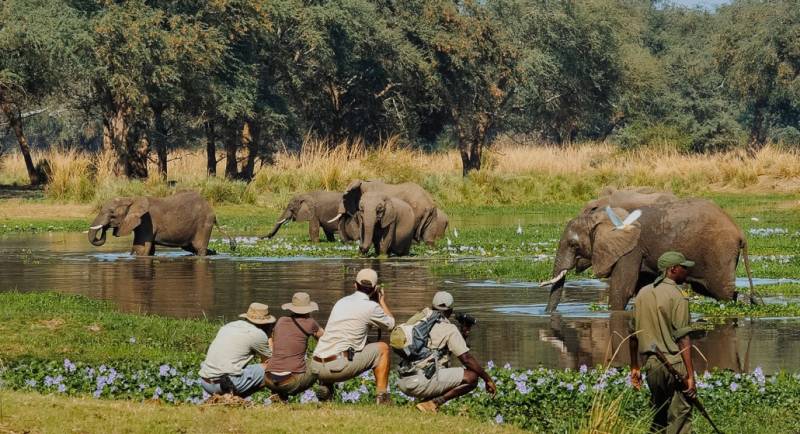 2 Nights 3 Days Safari to Nyerere National Park from Dar es salaam