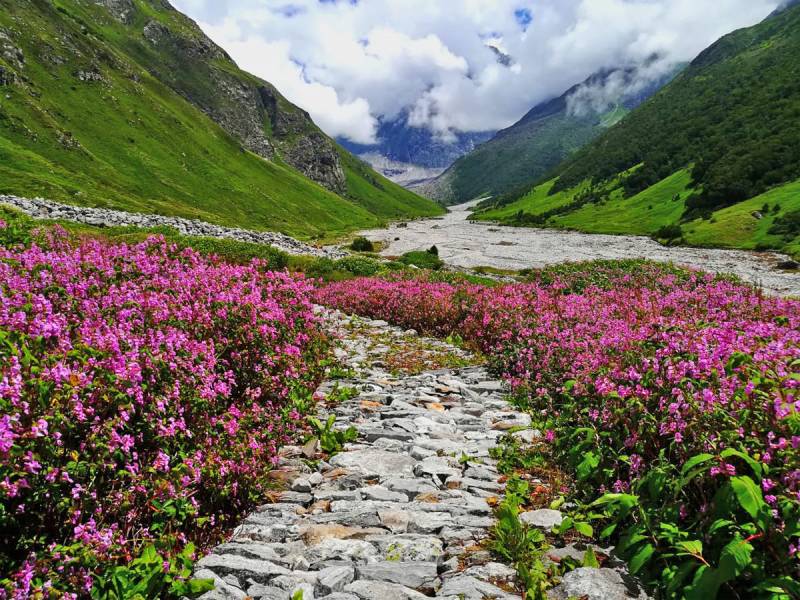 Valley Of Flowers Without Gorson Top Trek 7 Days