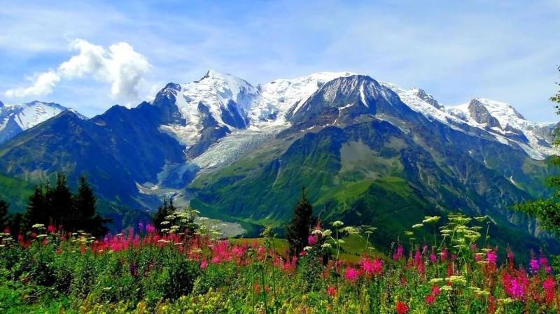 Valley Of Flowers Without Gorson Top Trek 8 Days
