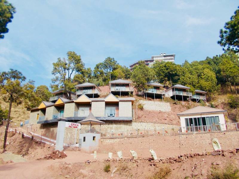 1 Night 2 Days Kasauli Yoga Squad