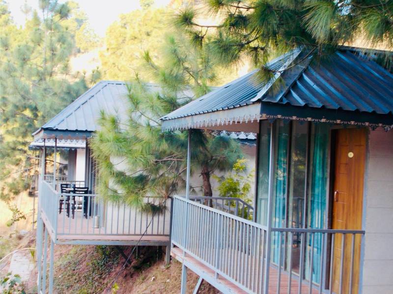 1 Night 2 Days Kasauli Yoga Squad