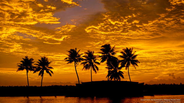 4 Nights 5 Days Kerala Tour