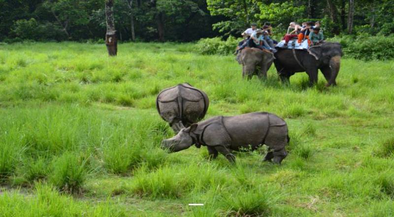 7 Nights 8 Days Kathmandu- Pokhara- Chitwan Tour