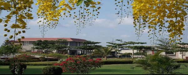 Kashmir Package 4 Night 5 Day