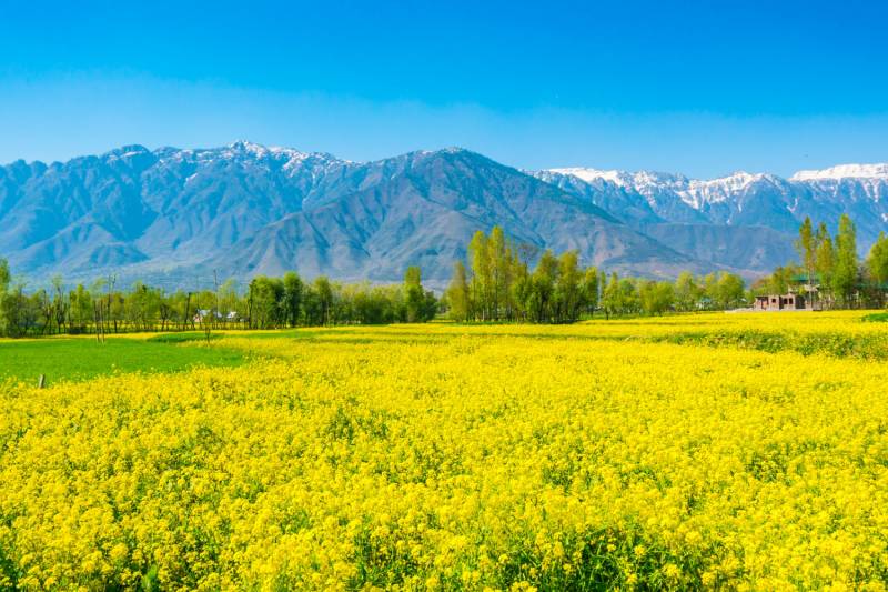 6 Nights 7 Days Kashmir Tour