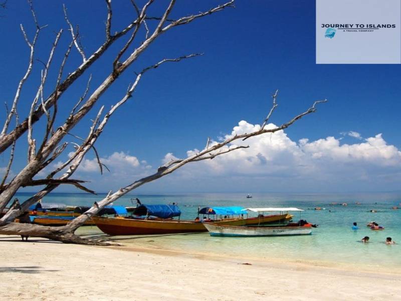 04 Nights 05 Days Andaman Tour Package