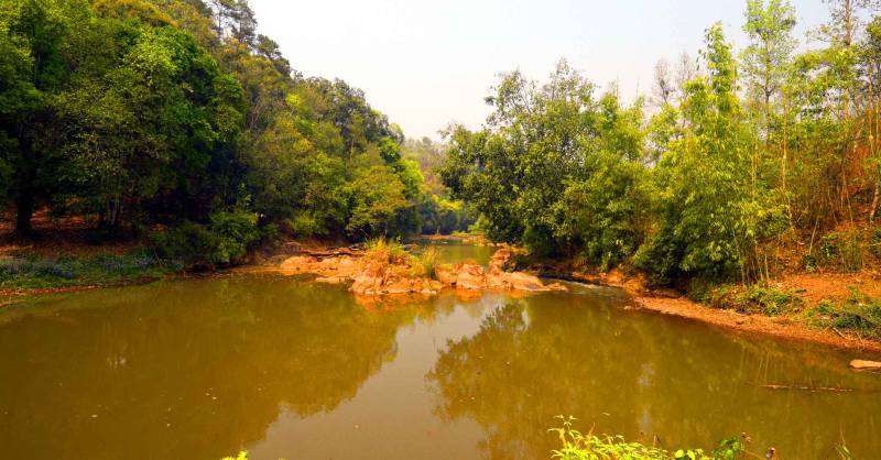 Shyntor Festival - December